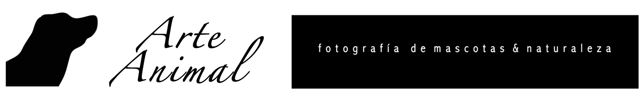 Arte Animal